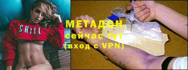 ГАЛЛЮЦИНОГЕННЫЕ ГРИБЫ Богданович