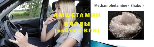 ГАЛЛЮЦИНОГЕННЫЕ ГРИБЫ Богданович