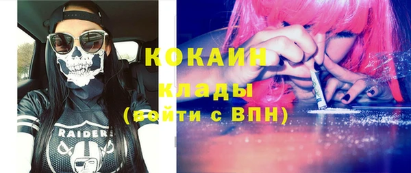 ГАЛЛЮЦИНОГЕННЫЕ ГРИБЫ Богданович
