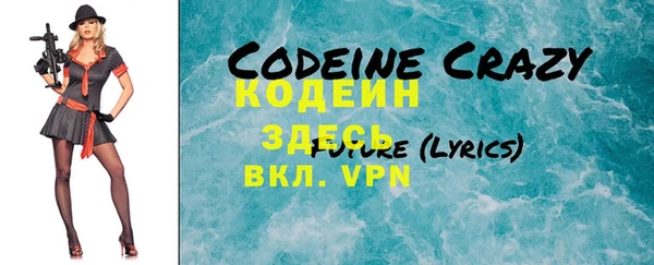 ГАЛЛЮЦИНОГЕННЫЕ ГРИБЫ Богданович
