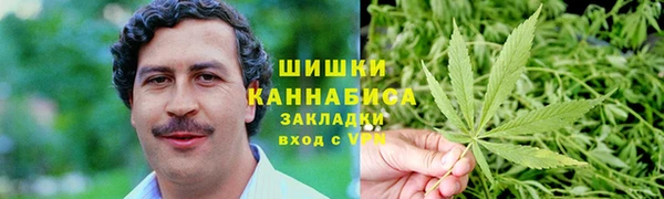 ГАЛЛЮЦИНОГЕННЫЕ ГРИБЫ Богданович